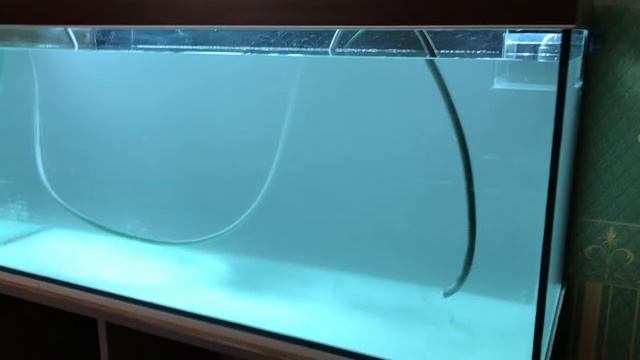 Проверка аквариума на герметичность перед запуском