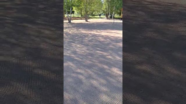 Посев газона и укатка. смотреть онлайн