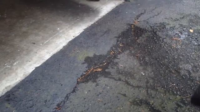 Stihl SH 85 Blower Vac