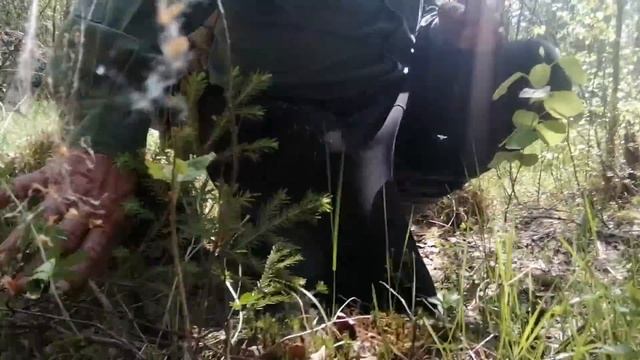 Вот это май ! смотреть онлайн