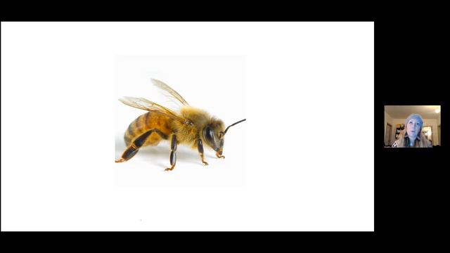 *TALK* Tiptoeing Through The Fairy-Filled Pools