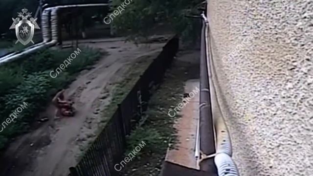 Появилось видео падения болгарки на двухлетнюю девочку смотреть онлайн