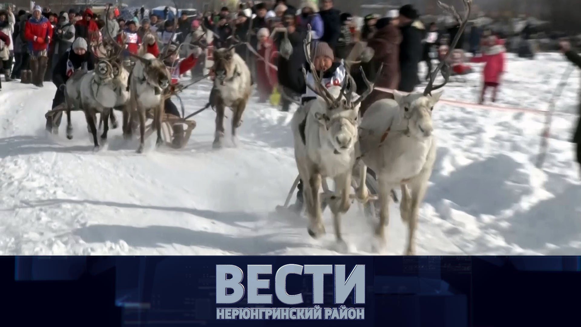 Выпуск от 16.03.2024:
Первый день выборов президента РФ; День оленевода; новые автобусы смотреть онлайн