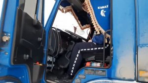 Замена динамиков в KAMAZ на DL Audio Raven 165