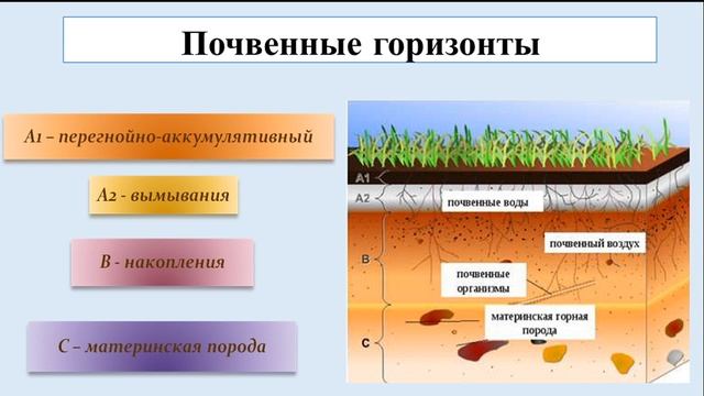 Тема 32. Почва, её значение. Эрозия почв смотреть онлайн