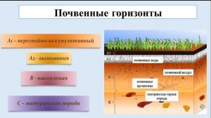 Тема 32. Почва, её значение. Эрозия почв