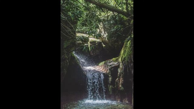 IN THE CIRCLE OF WHITE (Poem) смотреть онлайн