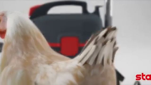 Starmix TS 1214 RTS Aspirapolvere Potente Compatto Silenzioso смотреть онлайн