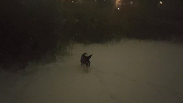 Вечерний моцион-2 смотреть онлайн