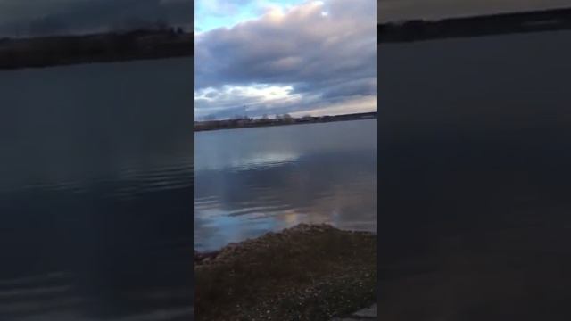 Серебряная чаша 13.03.2020 смотреть онлайн