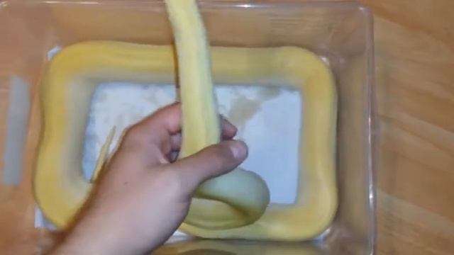 Pearl green burmese python, 12 months old female смотреть онлайн