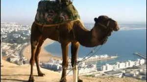 Группа Ахас  - Азия Евразия