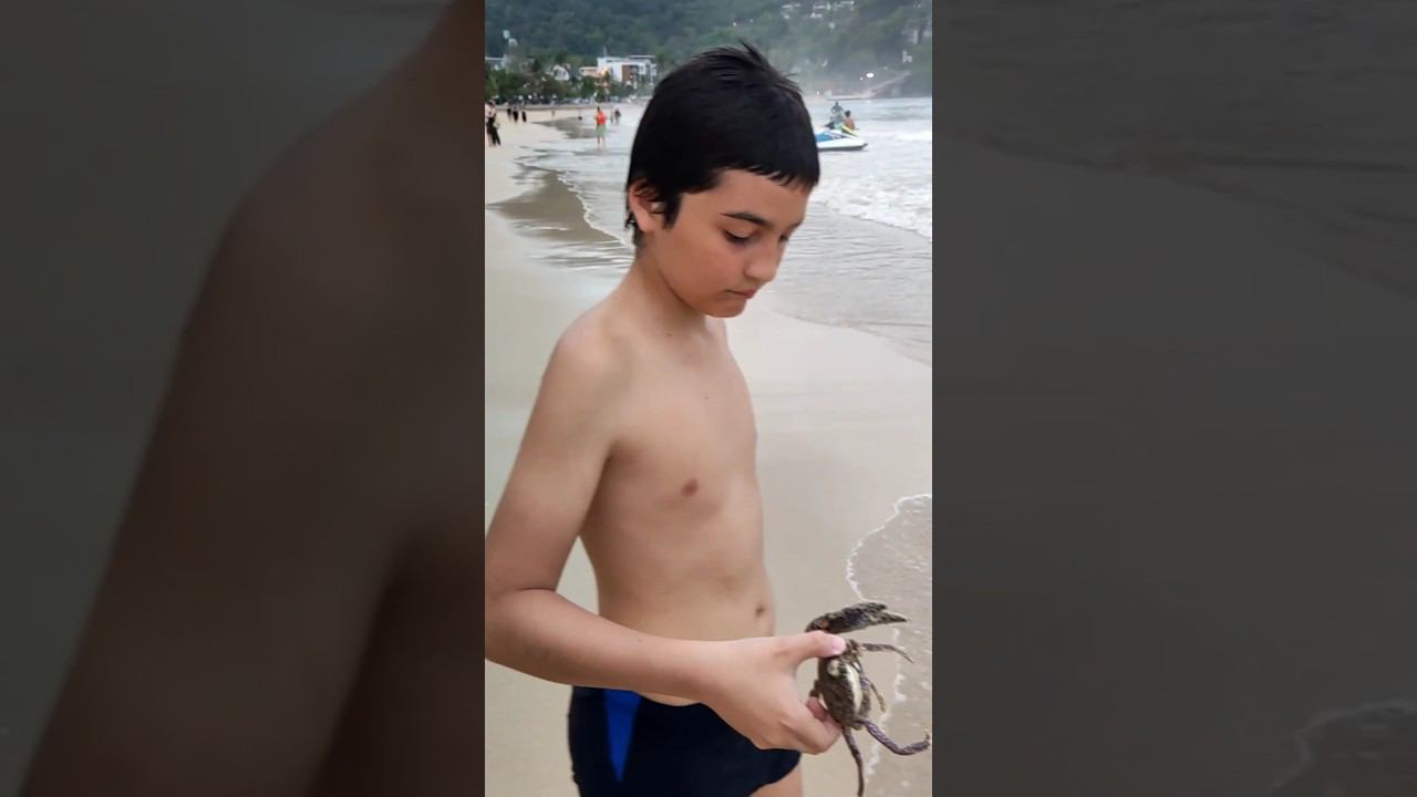 Огромные Крабы на Пхукете. Таиланд 2024 за 50 тысяч рублей с перелетом. Пляж Патонг. @tutsi-dieti смотреть онлайн