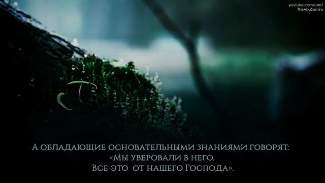 Абдуррахман Масад сура Аль_Имран Abdurrahman Masad смотреть онлайн