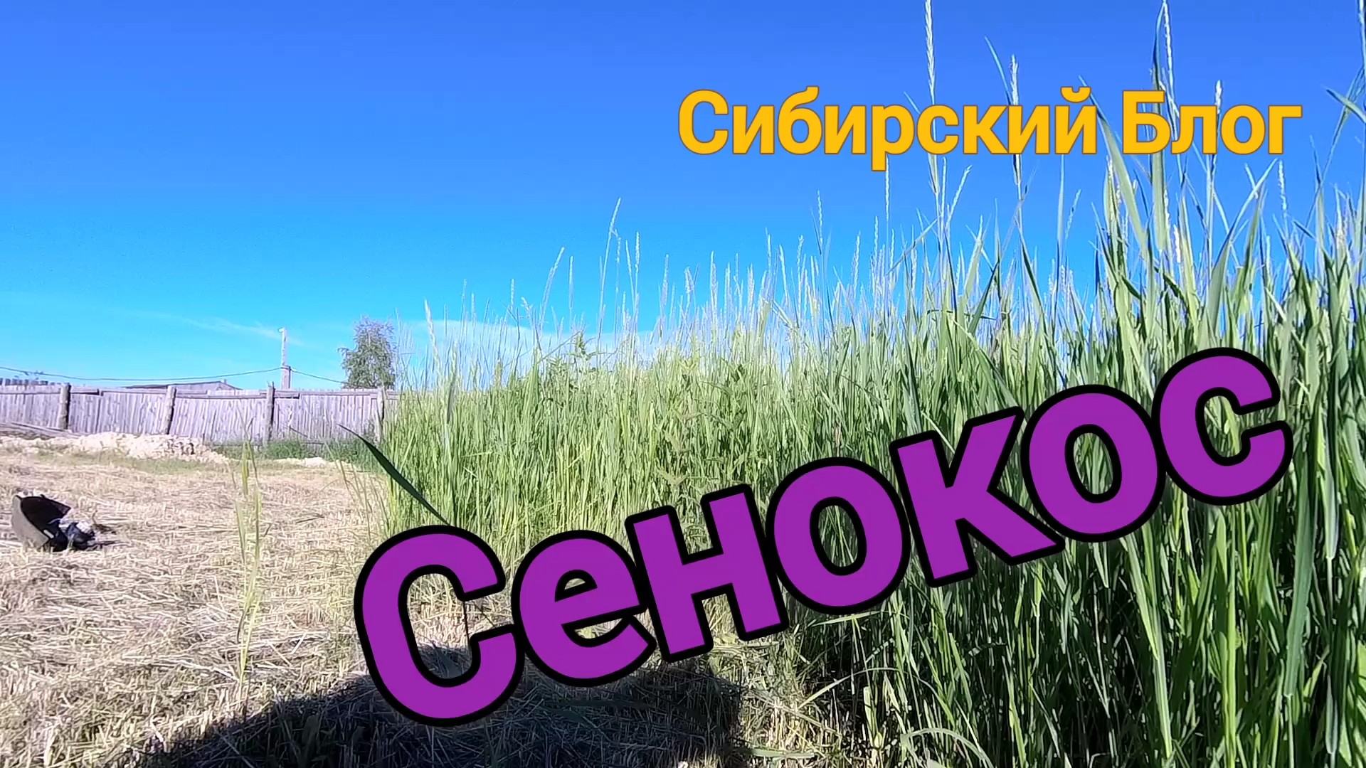 Сенокос