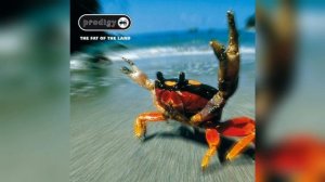 The Prodigy - Smack My Bitch Up (David Guetta & MORTEN Remix)