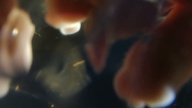 АСМР визуальное расслабление, неразборчивый шепот/ ASMR Whisper, Relaxing Video