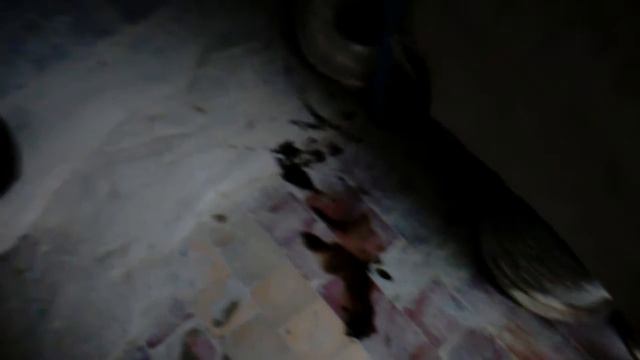 Борисовская керамика смотреть онлайн
