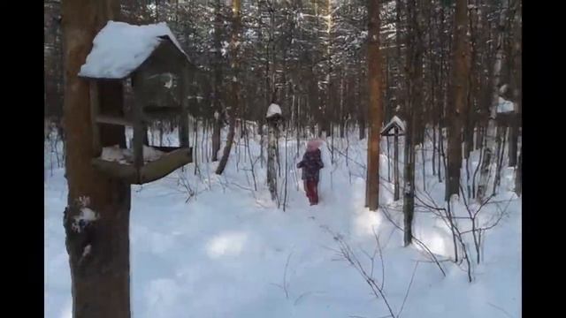 Кормим снегирей в лесу смотреть онлайн