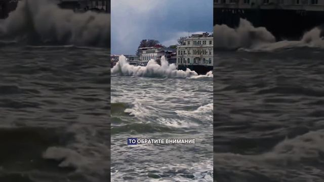 Успейте воспользоваться горящим предложением от государства! #shorts