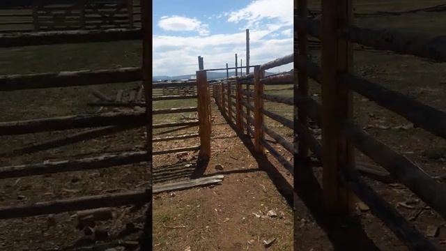 Построил навес смотреть онлайн