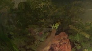 Закон о рыбалке 2019 Глазами и устами рыболова!