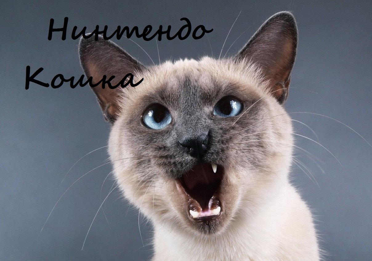 Коллекция Amiibo с Нинтендо Кошкой !