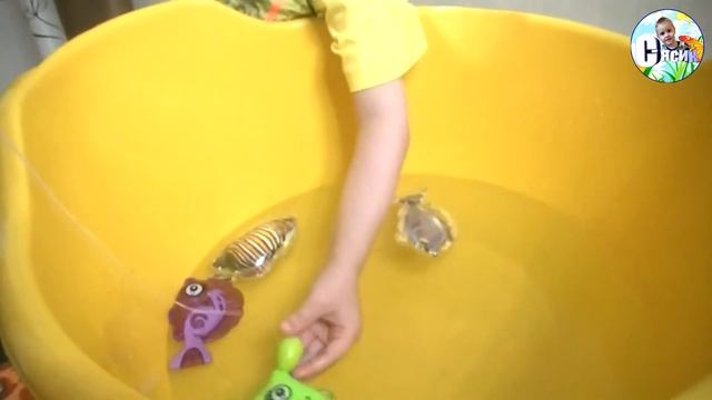 Моя рыбалка! Рыба-карась игра началась!!! Обзор веселой игры с удочкой. Новый набор юного рыбака. смотреть онлайн