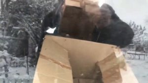 Куры зимой, покупаем новых кур.