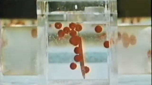 21 Указательные Столбы В Воз... - Научный институт Муди смотреть онлайн