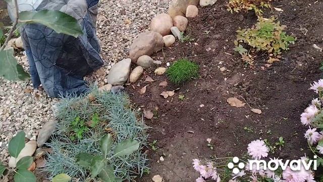 Влог: Вышивка и жизнь ? 7 ноября 2023 г. смотреть онлайн