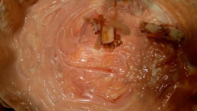 Вдохновение на Тарелке