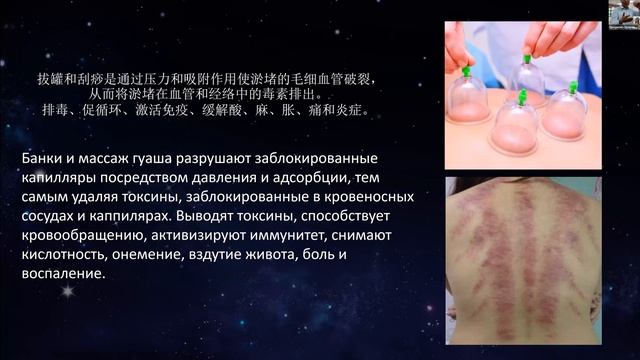 Биоэлектромассажер Magic FOHERB