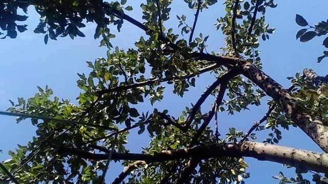 20240829_080500.mp4 смотреть онлайн