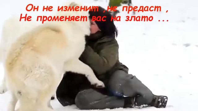 Люди Волки смотреть онлайн