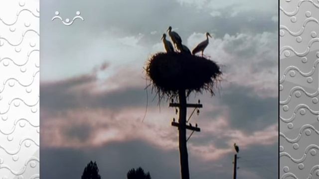 Колыбельные песни. Уроки колыбельной смотреть онлайн