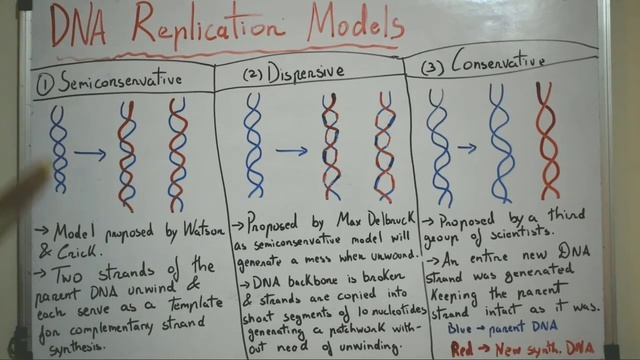 DNA Replication Models || Semiconservative, Dispersive, Conservative смотреть онлайн