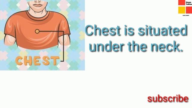 Parts Of The Body#How To Teach Body Parts To Kids#important Body Parts And Their Functions#EVStopic