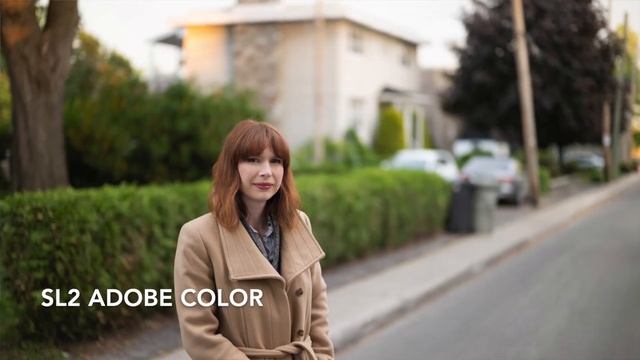 Color Profiles: See your cameras true colors! смотреть онлайн