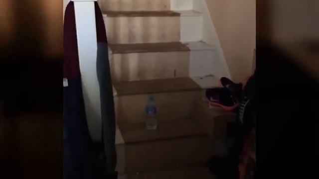 TOP 95 Ultimate Water Bottle Flip CHALLENGE Video! BEST Water Bottle Flips Trick смотреть онлайн