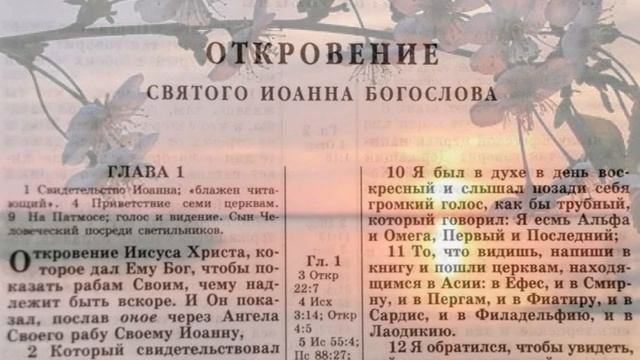 256. Кто такие 7 духов Божиих по Откр.1:4? смотреть онлайн