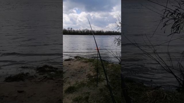 Рыбалка на реке Десна в плохую погоду. Ловлю чехонь. Рак на фидер. смотреть онлайн