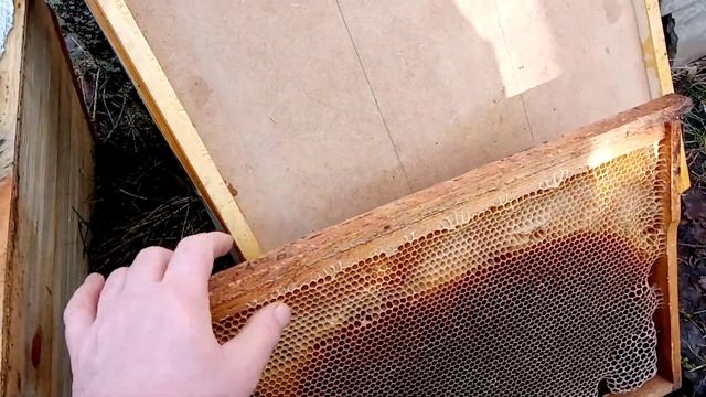 Недостатки тёплой крыши улья зимой. смотреть онлайн