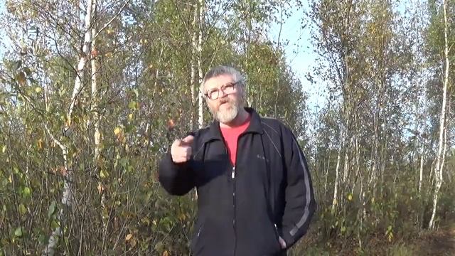 про школу. Андрей Подушкин Я не люблю учителей смотреть онлайн
