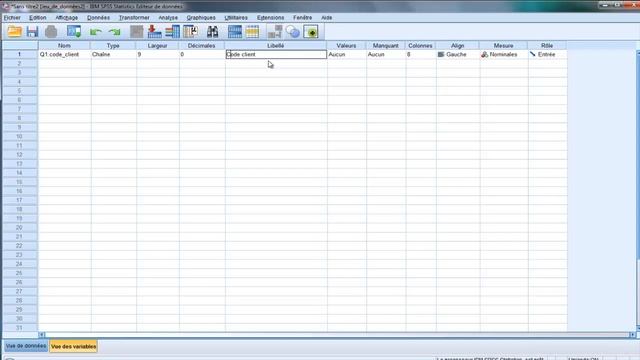 Formation SPSS: Codage et saisie d'un questionnaire смотреть онлайн