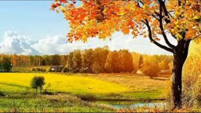 есть люди думающие ...есть бездумные ...а самые опасные - это те... за кого думают другие смотреть онлайн