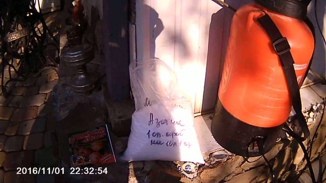 Опрыскивание деревьев сада осенью от болезней и вредителей: тли, клещей, сосущих, медяниц смотреть онлайн