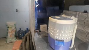 Не делайте перосъемную машину для перепелов, молодых 40ка дневных перепёлок разрывает! Часть 1