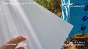 Обработка шнуром тэда от клеща ВАРРОА (от варратоза). Личный опыт начинающего пчеловода.