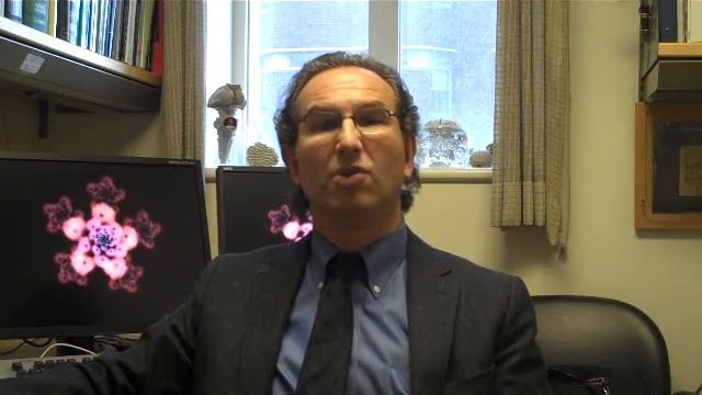 Talk 05 - John Detre: Incidental Findings in MRI Research смотреть онлайн